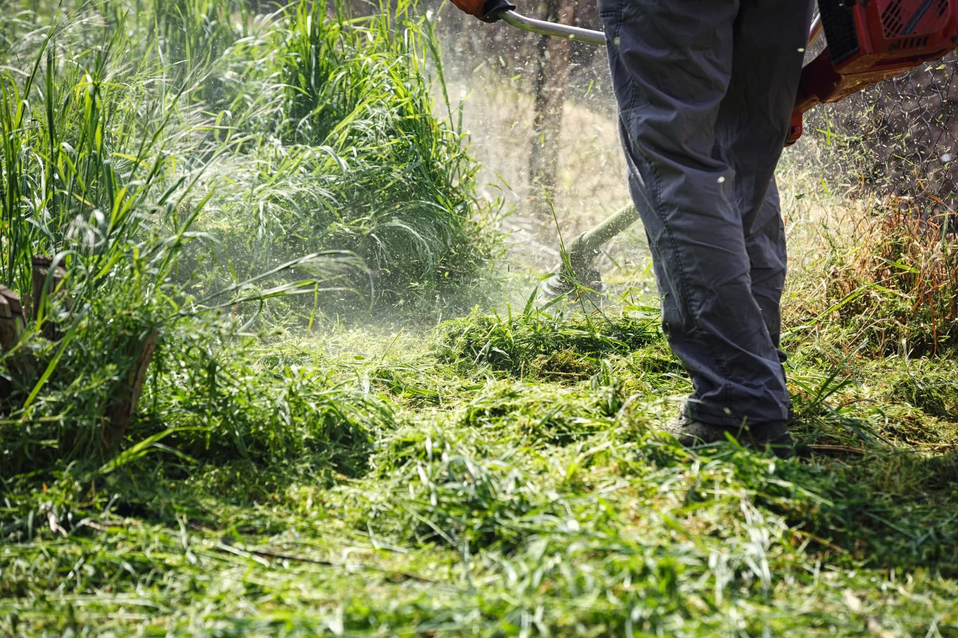 Professional landscaper trimming tall grass