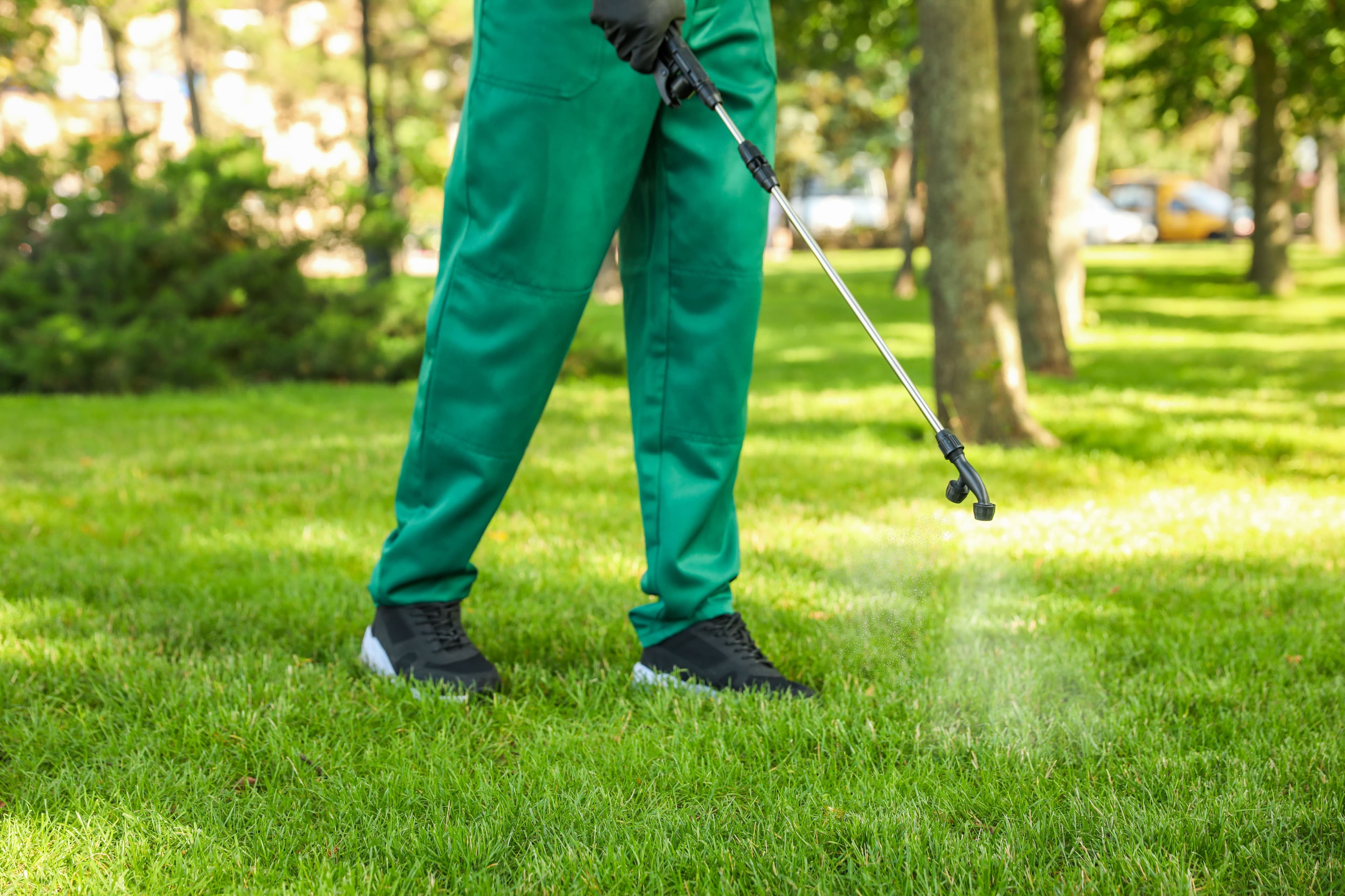 Residential pest control